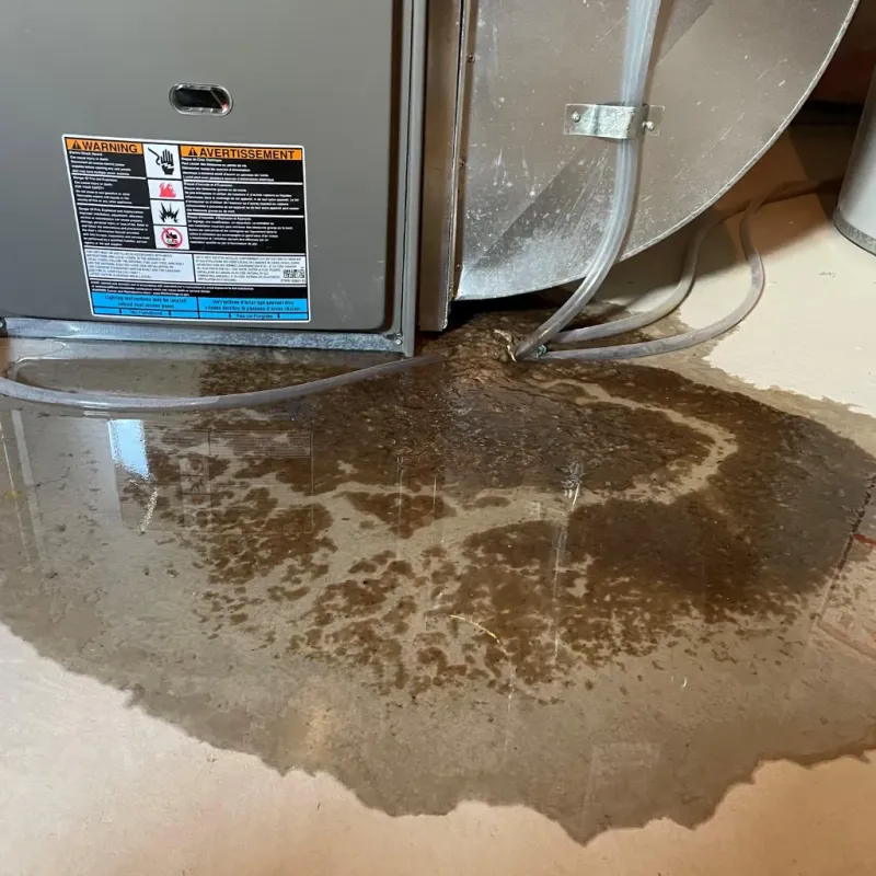 Appliance Leak Cleanup in Monroe County, KY